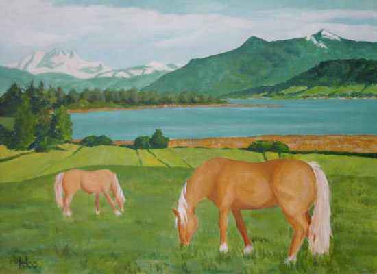 Haflinger über Schafwaschener Bucht Haflinger über Schafwaschener Bucht