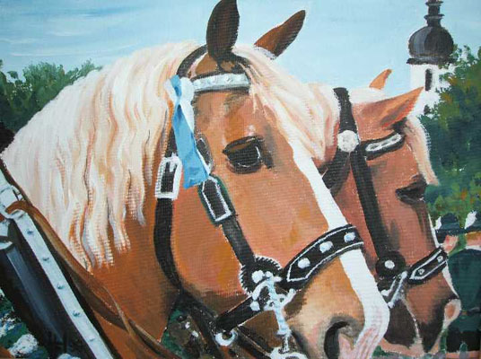 Haflinger bem Festzug Haflinger bem Festzug