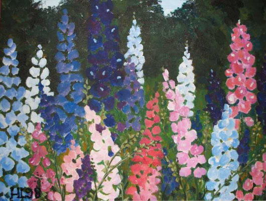 Lupinen Lupinen